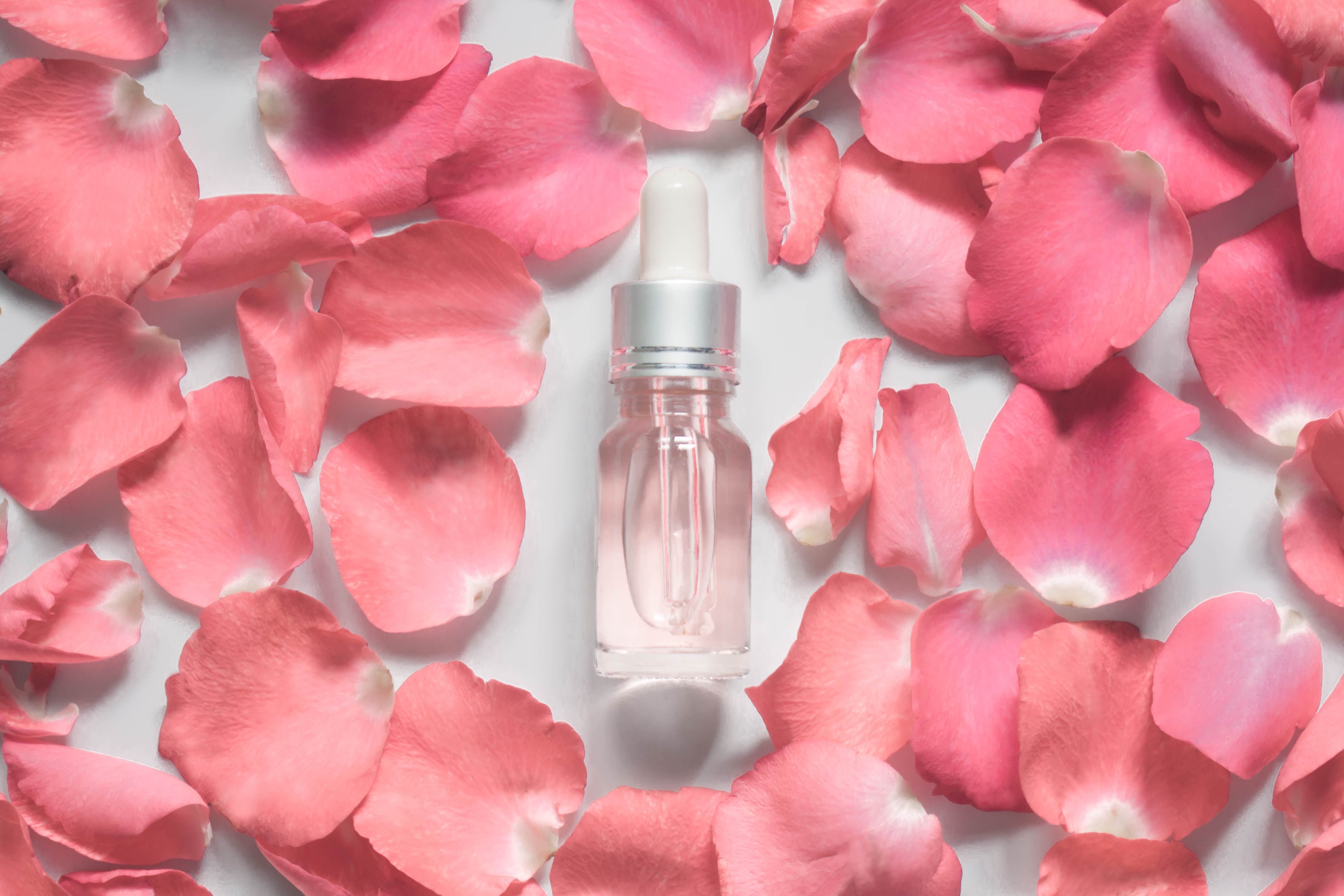 Tone It Away- An Exemplary Guide To Using Toners - 1 | Shopping Guide | Purplle