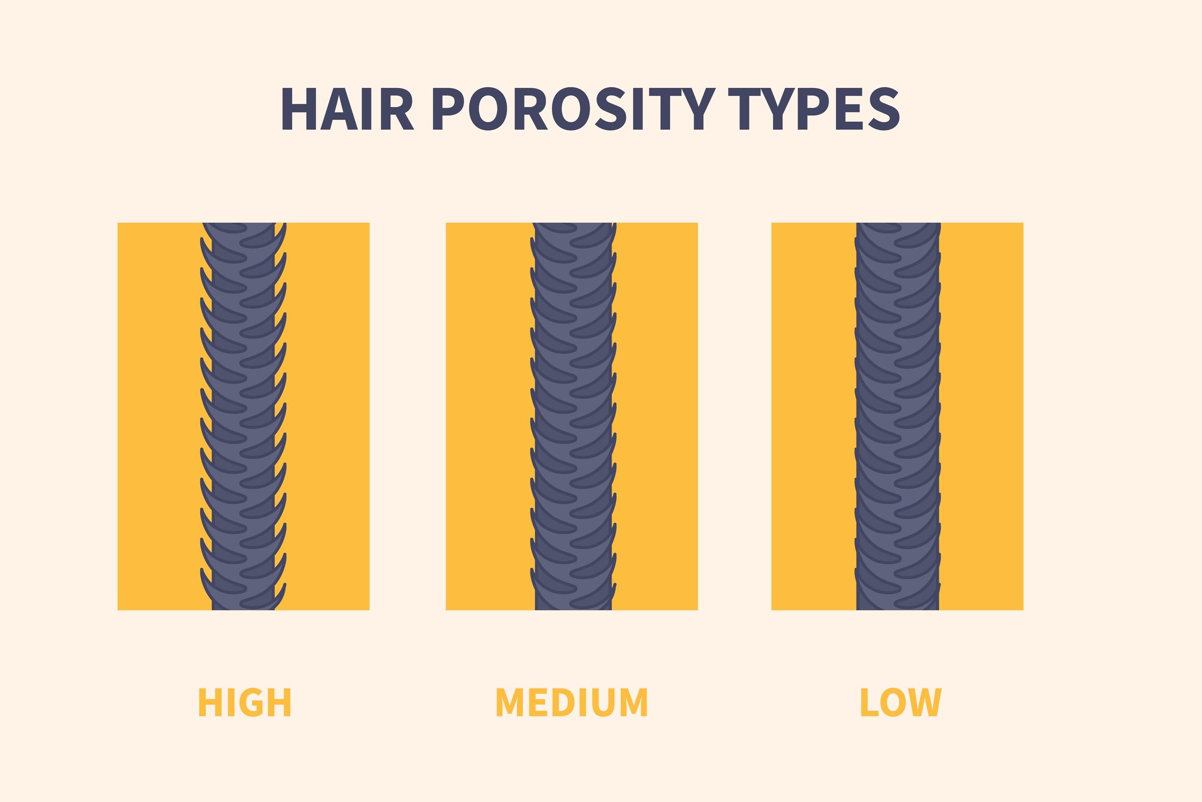 Low Porosity Hair vs High Porosity Hair A Quick Guide