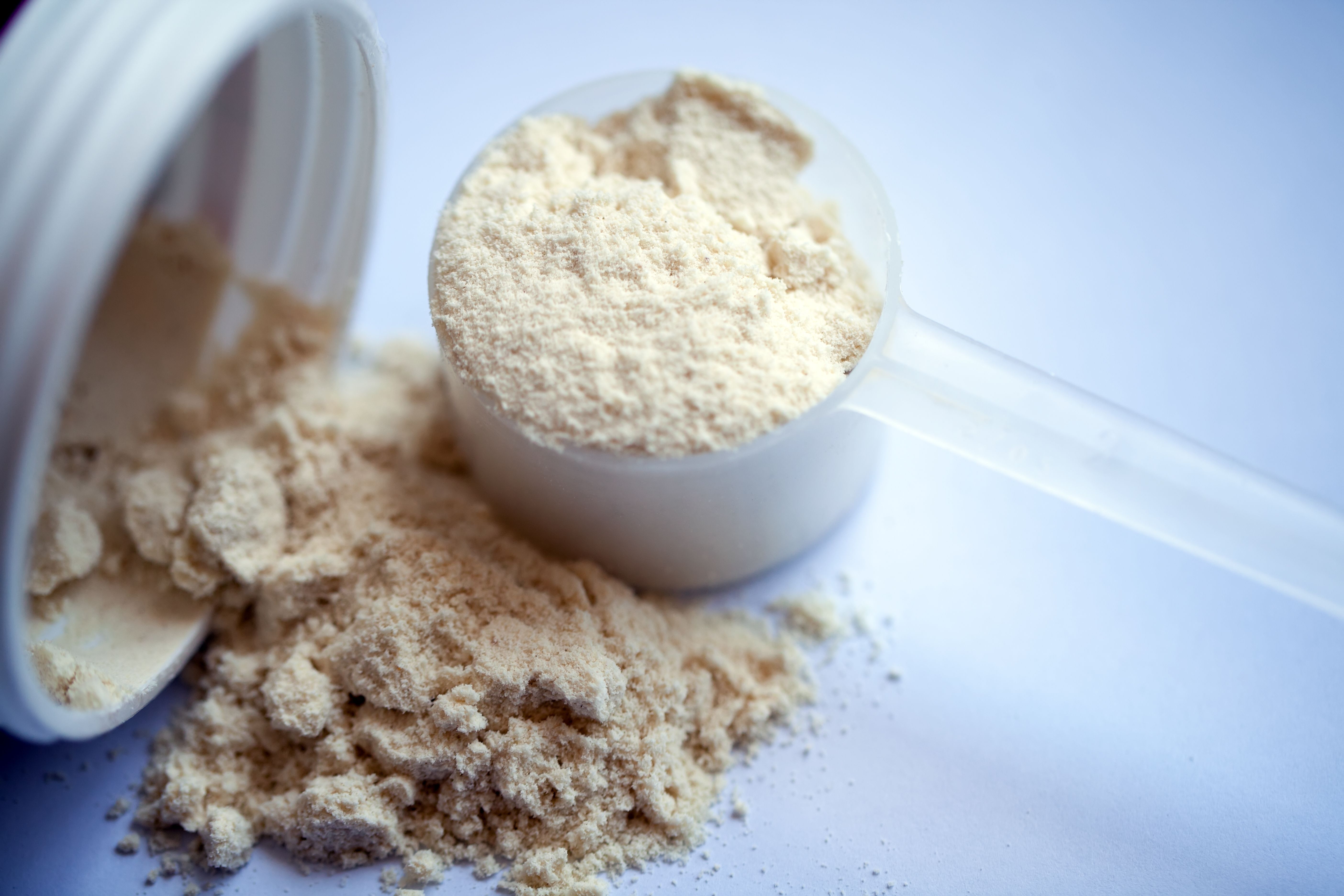 Protein Powder
