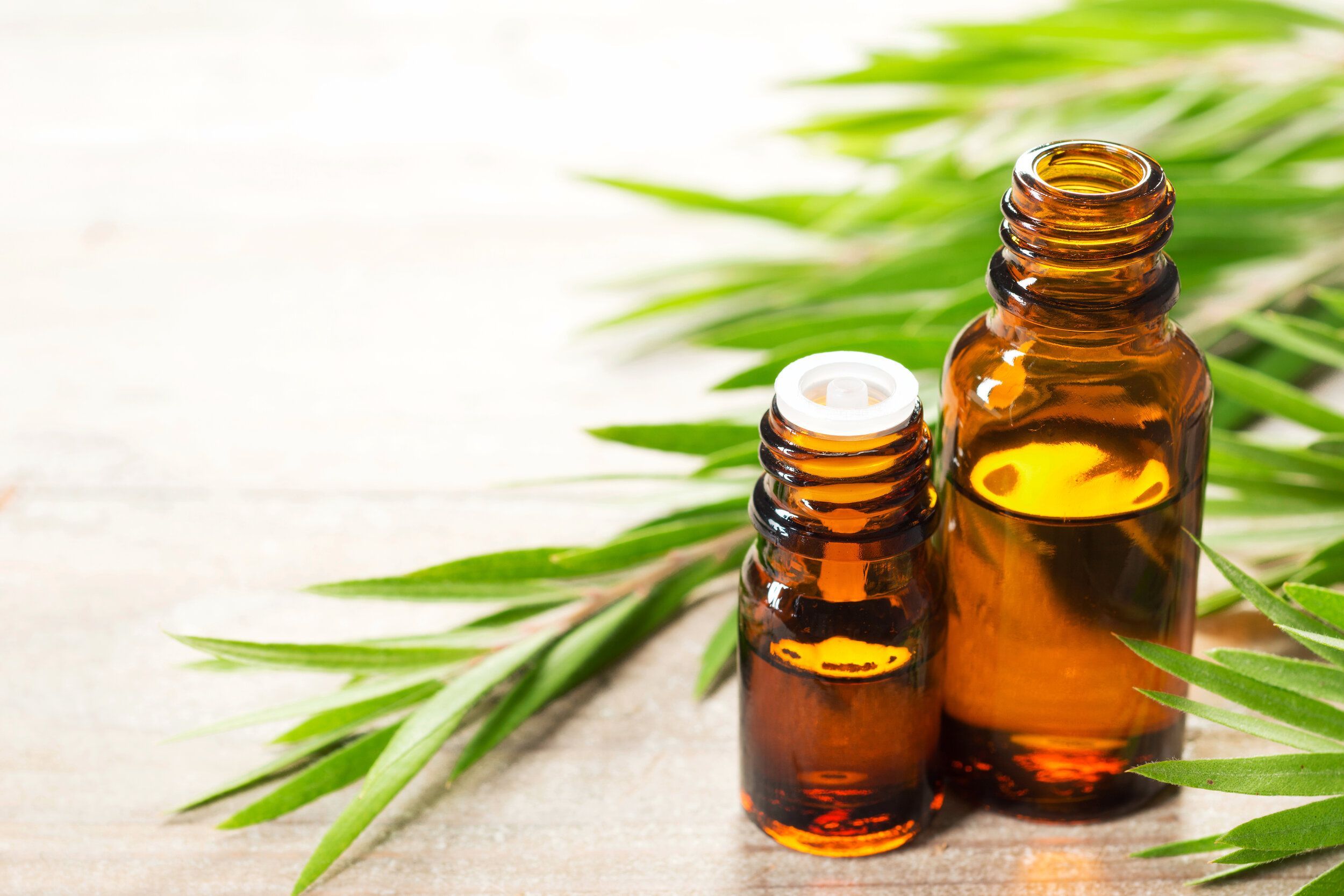 Tea Tree Oil for oily scalp
