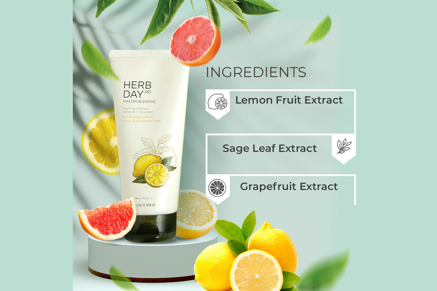 Buy The Face Shop HERB DAY 365 Master Blending Foaming Cleanser- Lemon   Grapefruit (170 ml) Online Purplle