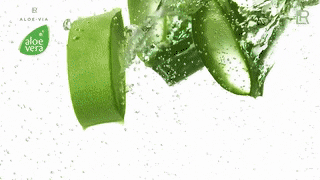 Benefits Of Aloe Vera For Hair