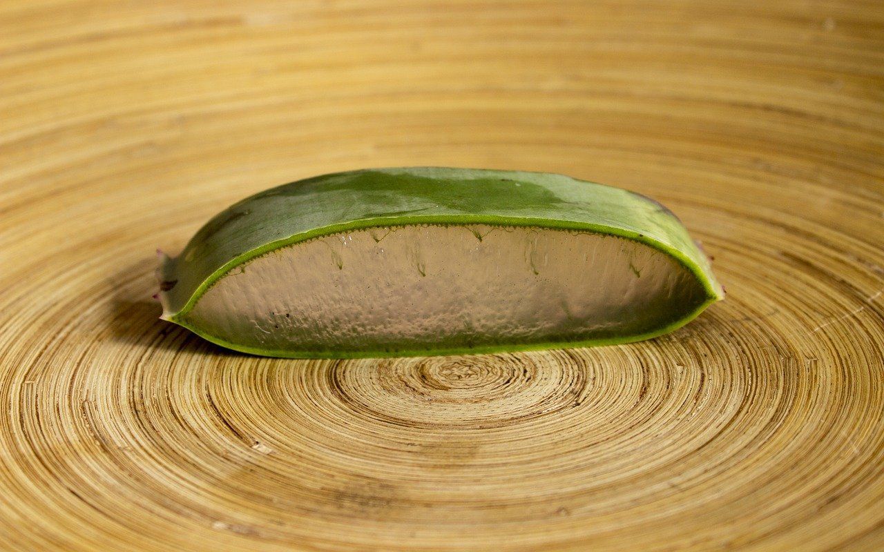 Aloe Vera Benefits