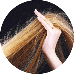 Hair Breakage