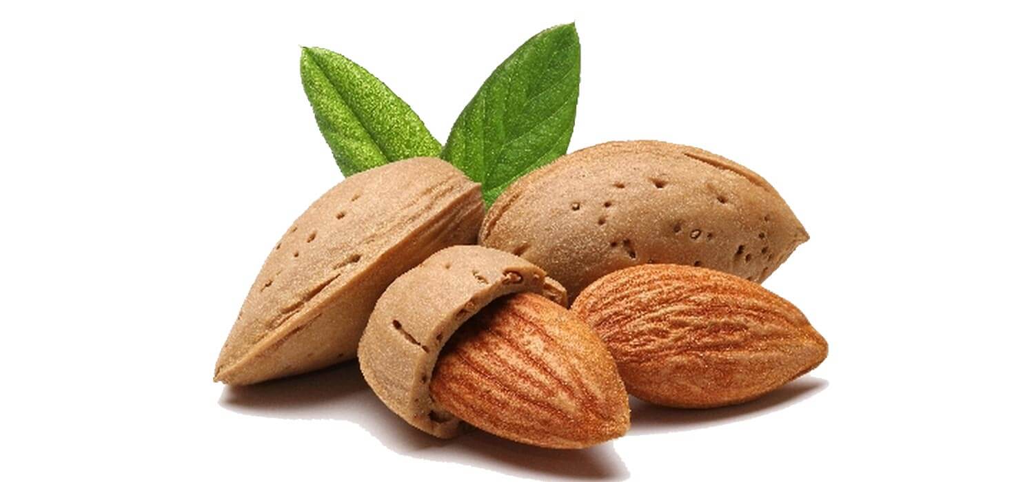 Top 10 natural ingredients for healthy skin and hair! - 9 | Hair | Purplle