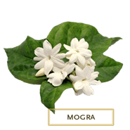 kama ayurveda pure mogra water 50 ml kama ayurveda pure mogra water 50 ml