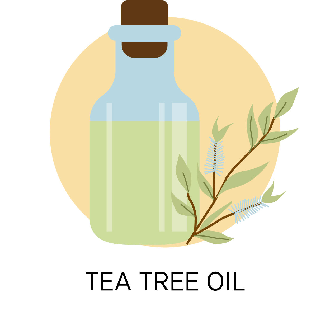 Buy ST. D´VENCE Tea Tree Body Wash With Eucalyptus Oil & Peppermint Oil