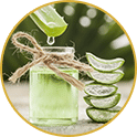 Green Tea Extract
