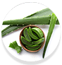 Aloe Vera Extract