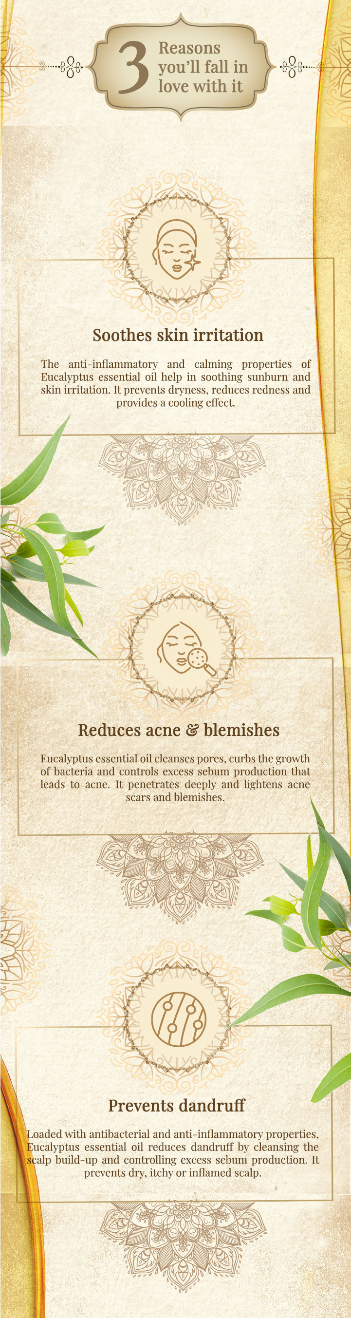 Vayam Ayurveda Eucalyptus Essential Oil 10 Ml purplle com
