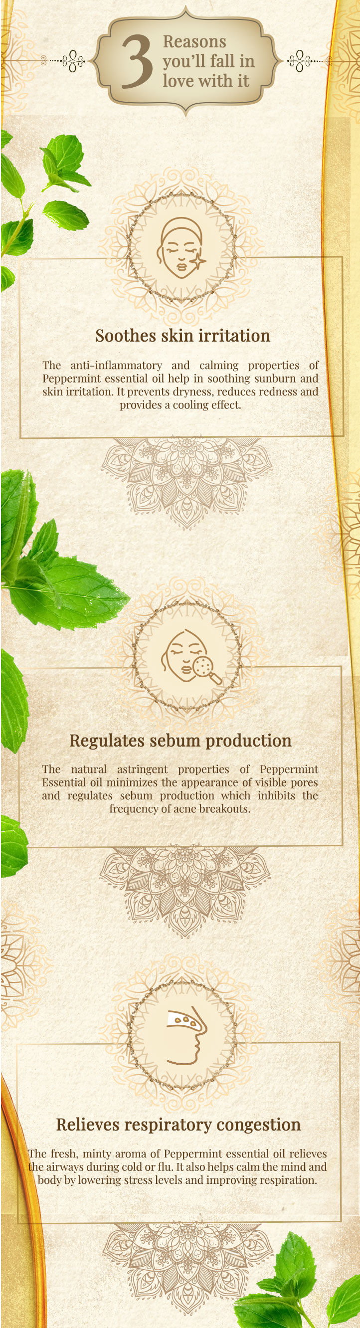 Buy Vayam Ayurveda 100 Pure Peppermint Essential Oil (10 ml) Online