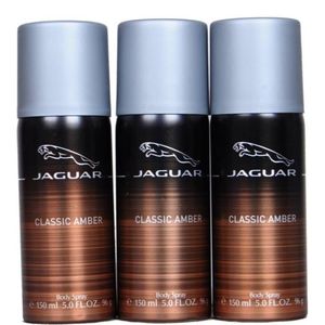 Jaguar classic body store spray
