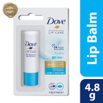 Dove International Hydro Nourishing Lip Care | Lip Balm | 24 hours Hydration | Imported | 4.8gm