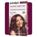 Paradyes Berry Plum Glossy Hair Tint Semi-Permanent Creme Color For Red Purple Hair, 160 gm