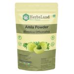 Herbsland Amla Powder - Natural Skin Detox & Antioxidant Boost | Hair Growth, Skin Brightening & Immunity Boost | Organic Amla For Wellness | 100 gm