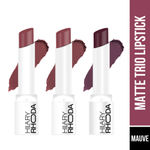 Hilary Rhoda Matte Trio Lipstick | Matte Finish & Long Lasting Lipstick | Pack of 3 Lipsticks | Highly Pigmented & Glides Smoothly | Vegan & Cruelty-Free - 3g x 3U (Mauve-lous Trio - Shade 3)