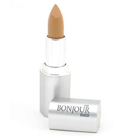 Buy Bonjour Paris Concealer Pan Stick - Wheatish To Earth (4.2 g) - Purplle