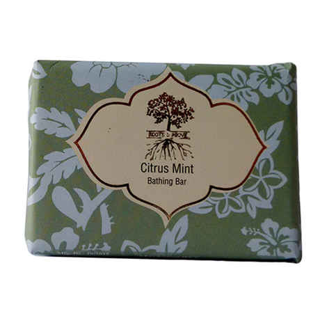 Buy Roots & Above Citrus Mint Glycerin Bathing Bar (100 g) - Purplle