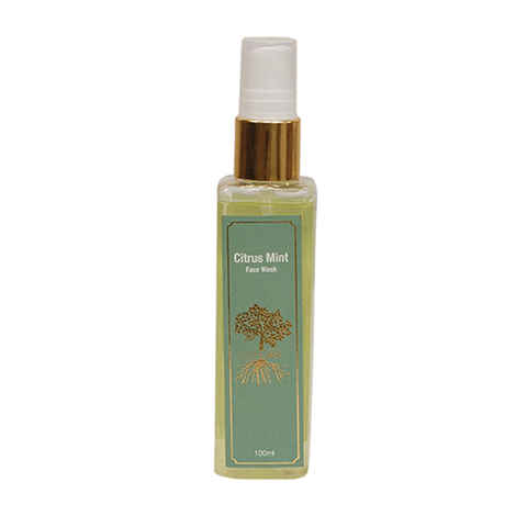 Buy Roots & Above Citrus Mint Face Wash (100 ml) - Purplle