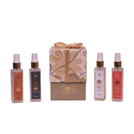 Buy Roots & Above Aromatic Perfume Set Gift Pack Of Four. - Purplle