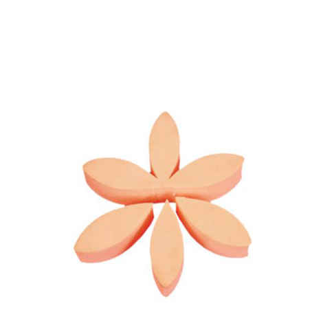 Buy Audrey's Flower Sponge No. SFL6 - Purplle