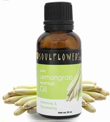 Buy Soulflower Essential Oil Lemongrass (15 ml) - Purplle
