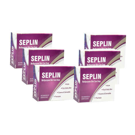 Buy WestCoast Seplin Multipurpose Antiseptic Soap (75 g) (Pack Of 6) - Purplle