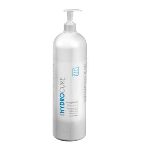 Buy Rahul Phate's Research Product Spa Hydrocure Shampoo (1000 ml) - Purplle