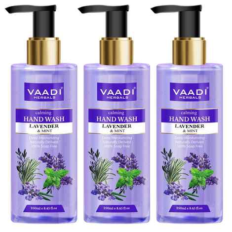 Buy Vaadi Herbals Pack of 3 Calming Lavender & Mint Hand Wash - Deep Moisutirizing (250 ml x 3) - Purplle