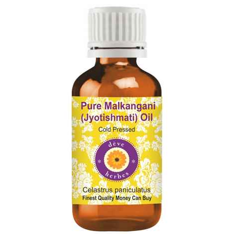 Buy Deve Herbes Pure Malkangani (Malkangni / Jyotishmati) Oil (Celastrus paniculatus) Natural Therapeutic Grade Cold Pressed 15ml - Purplle