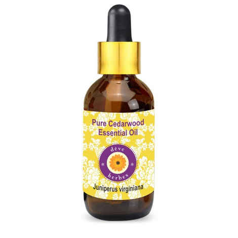 Buy Deve Herbes Pure Cedarwood Essential Oil (Juniperus virginiana) with Glass Dropper 100% Natural Therapeutic Grade Steam Distilled (100 ml) - Purplle