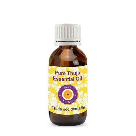 Buy Deve Herbes Pure Thuja Essential Oil (Thuja occidentalis) 100% Natural  Therapeutic Grade Steam Distilled (15 ml) Online | Purplle