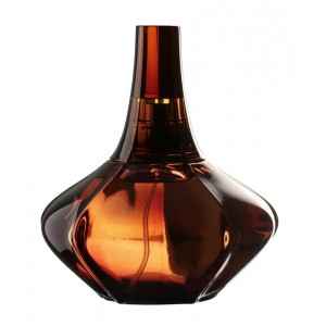 Buy Calvin Klein Secret Obsession Edp 100 ml - Purplle