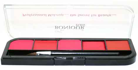 Buy Bonjour Paris Coat me Professional Lip Palette - Shade No:-06 (9.5 g) - Purplle