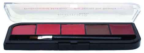 Bonjour Paris Coat me Professional Lip Palette - Shade No:-10 (9.5 g)