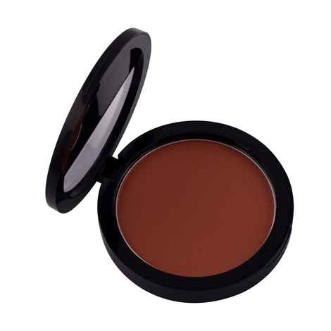 Buy PAC Studio Powder Blusher - 05 (12 g) - Purplle