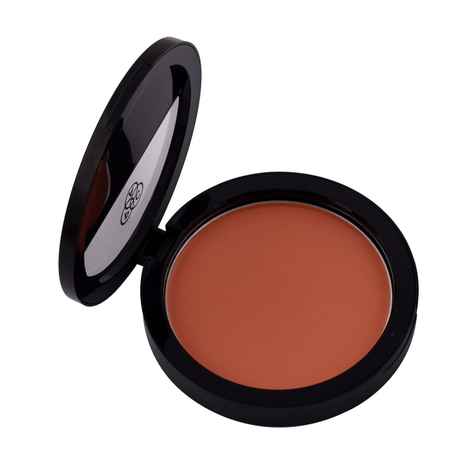 Buy PAC Studio Powder Blusher - 17 (12 g) - Purplle