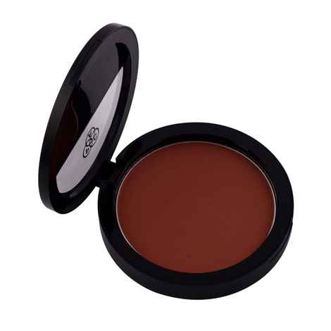 Buy PAC Studio Powder Blusher - 22 (12 g) - Purplle