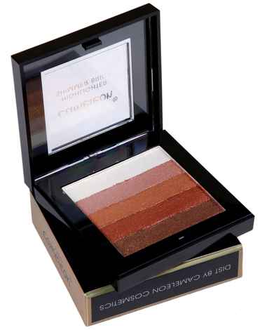 Buy Cameleon Shimmer Brick Highlighter/Eyeshadow 01 - Purplle