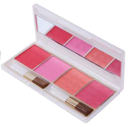 Buy Cameleon Velvet Touch Professional 4 Color Blusher GG004-4 - Purplle