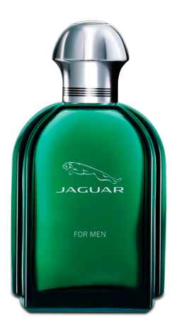 Buy Jaguar For Men Eau de Toilette 100ml - Purplle