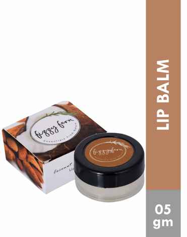 Buy Fizzy Fern Coconut Lip Balm - Purplle
