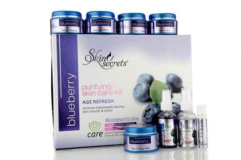 Buy Skin Secrets Blueberry Facial Kit - 410gm - Purplle