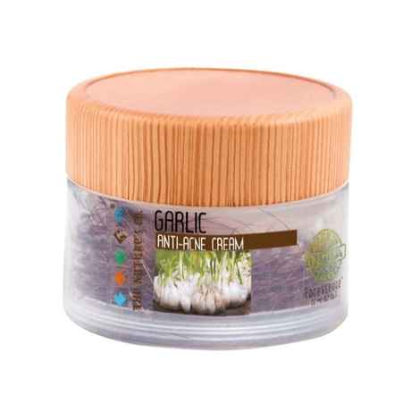 Buy The Nature's Co.Garlic Anti-Acne Cream - Purplle