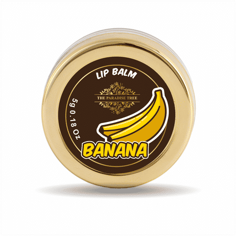 Buy The Paradise Tree'S Banana Lip Balm - 5grams - Purplle