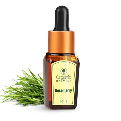 Buy Organic Harvest Rosemary Essential Oil, (30 ml) - Purplle