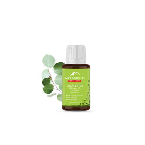 Buy Alps Goodness Pure Essential Oil - Eucalyptus (10 ml) - Purplle