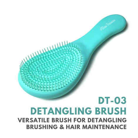 Buy Alan TrumanDT03 Detangling Brush Green | Wet And Dry Detangling Hair Brush| Smooth And Tangle Free Hair| Suitable For Every Hair Type| Ensures Pain Free And Frizz Free Detangling Process| Usable with Water/ Oil/ Gel Or Cream Based Products - Purplle