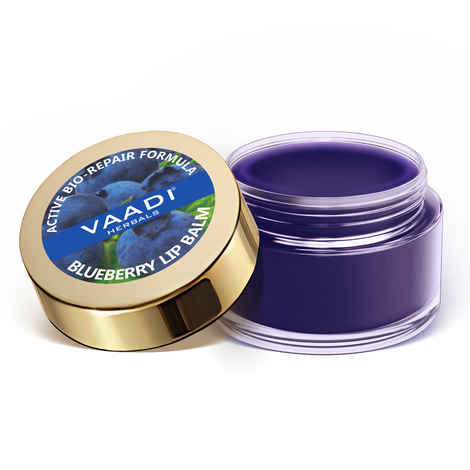 Buy Vaadi Herbals Lip Balm Blueberry (10 gm) - Purplle