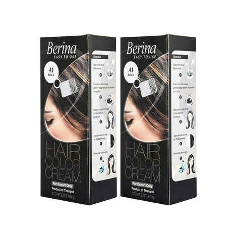 Buy Berina A1 Black Hair Color Cream 60gm Each (Pack of 2) - Purplle